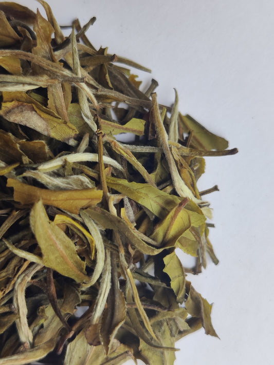 Mim Tea Estate - Darjeeling Peony White Tea