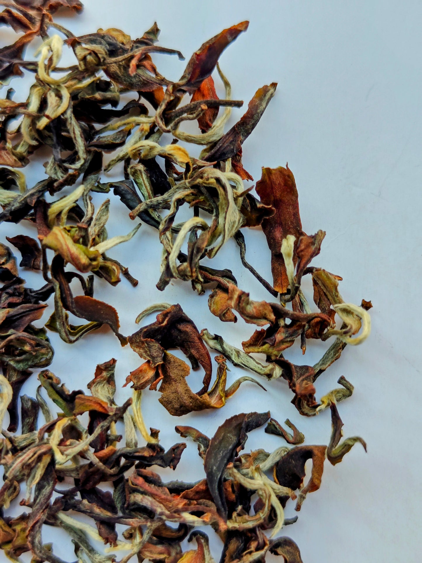 Autumn Queen - Bespoke Artisanal Tea - Limited Edition