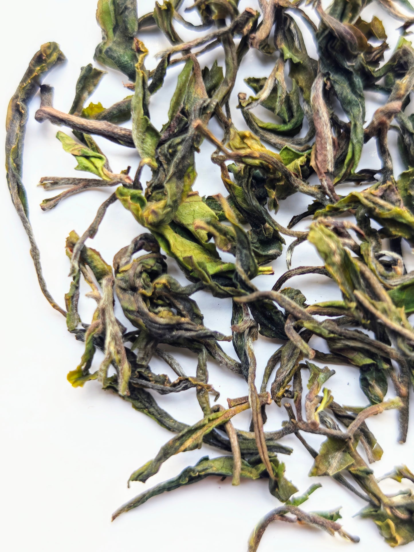 Giddapahar Clonal Delight - Darjeeling 1st Flush 2025 (Microlot)