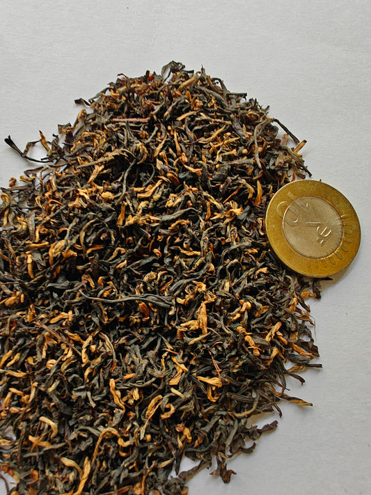 Halmari Gold GTGFOP1  Clonal
