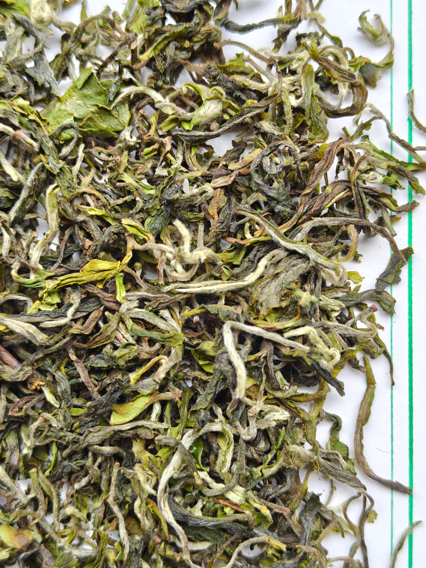 Avongrove Darjeeling Spring Flowery Clonal - Organic First Flush 2026