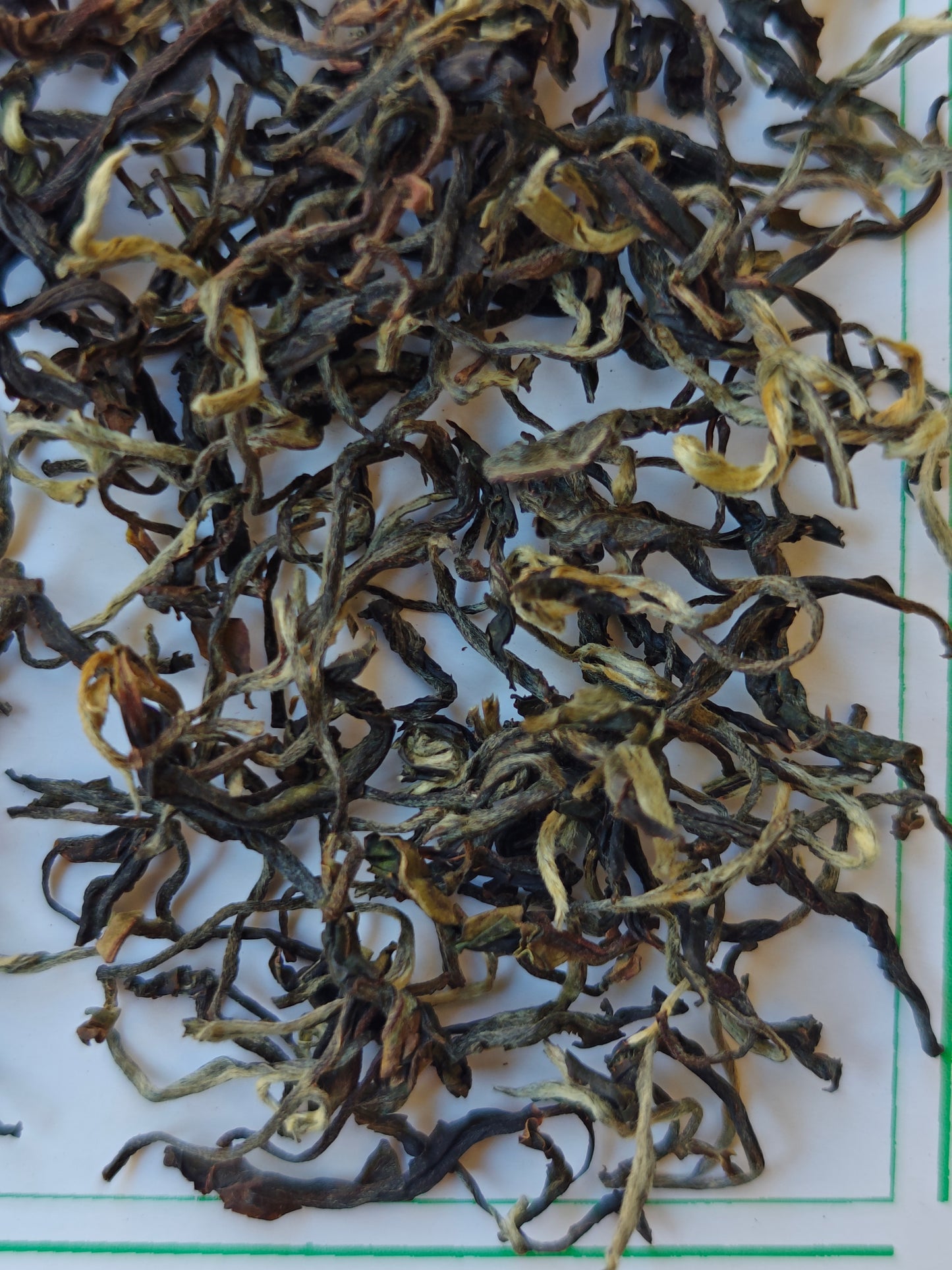 Meghalayan Mystique - Lakyrsiew Oolong - Early Autumn