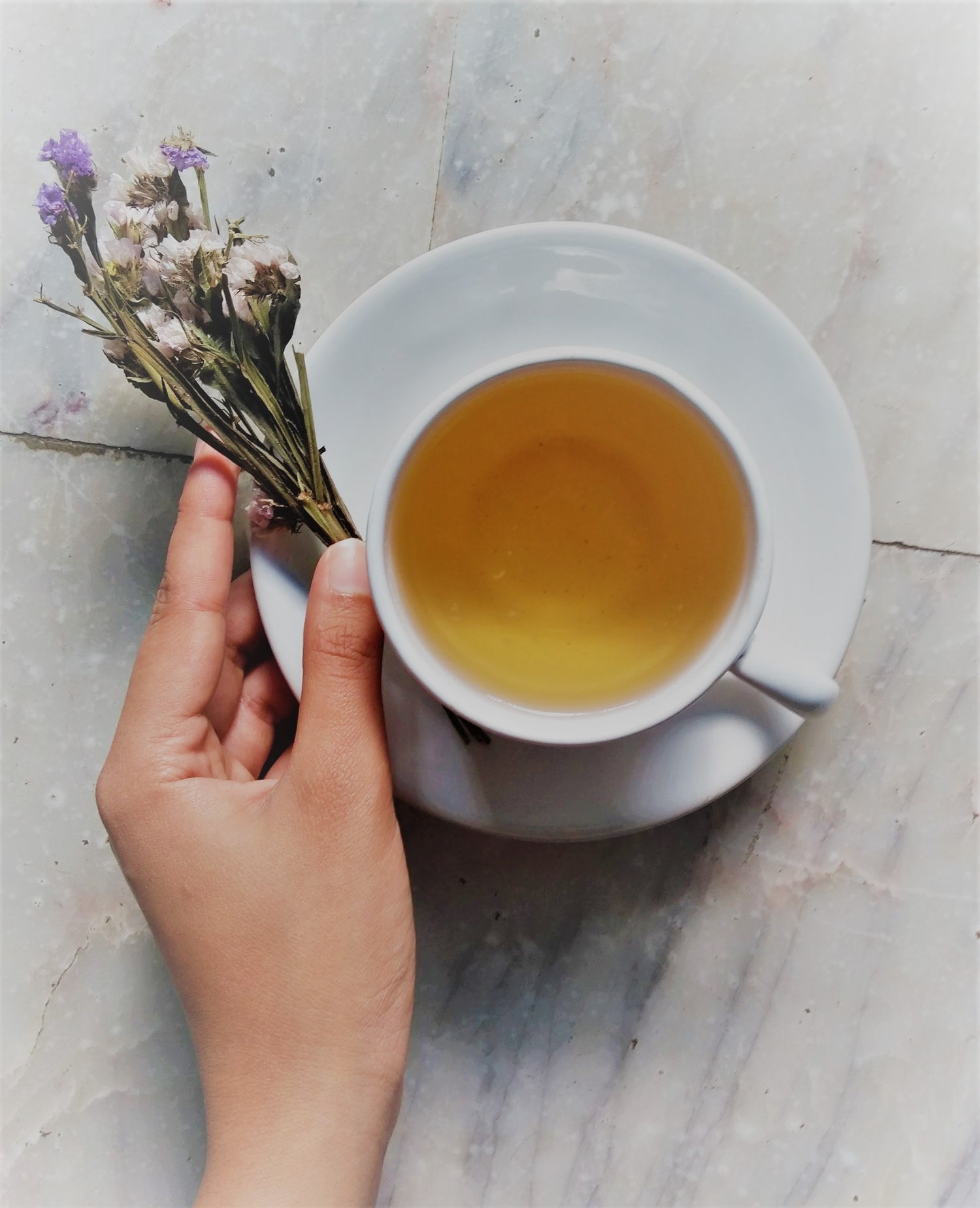 Specialty - White, Yellow, Oolong