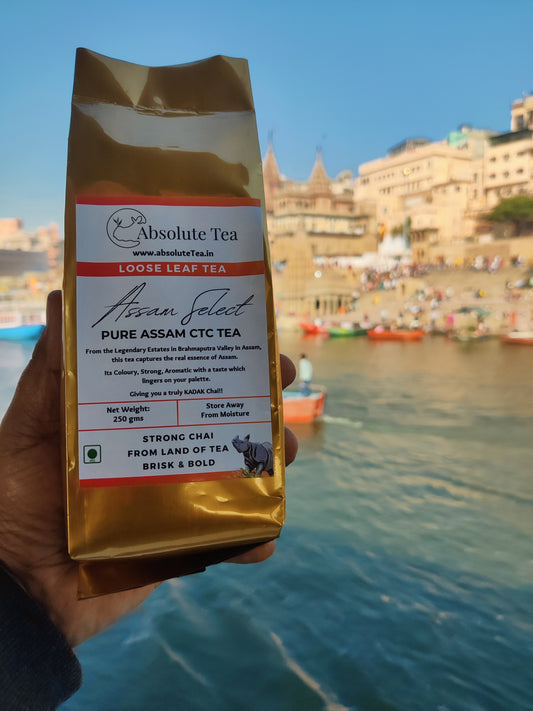 Assam Select - Pure Assam CTC