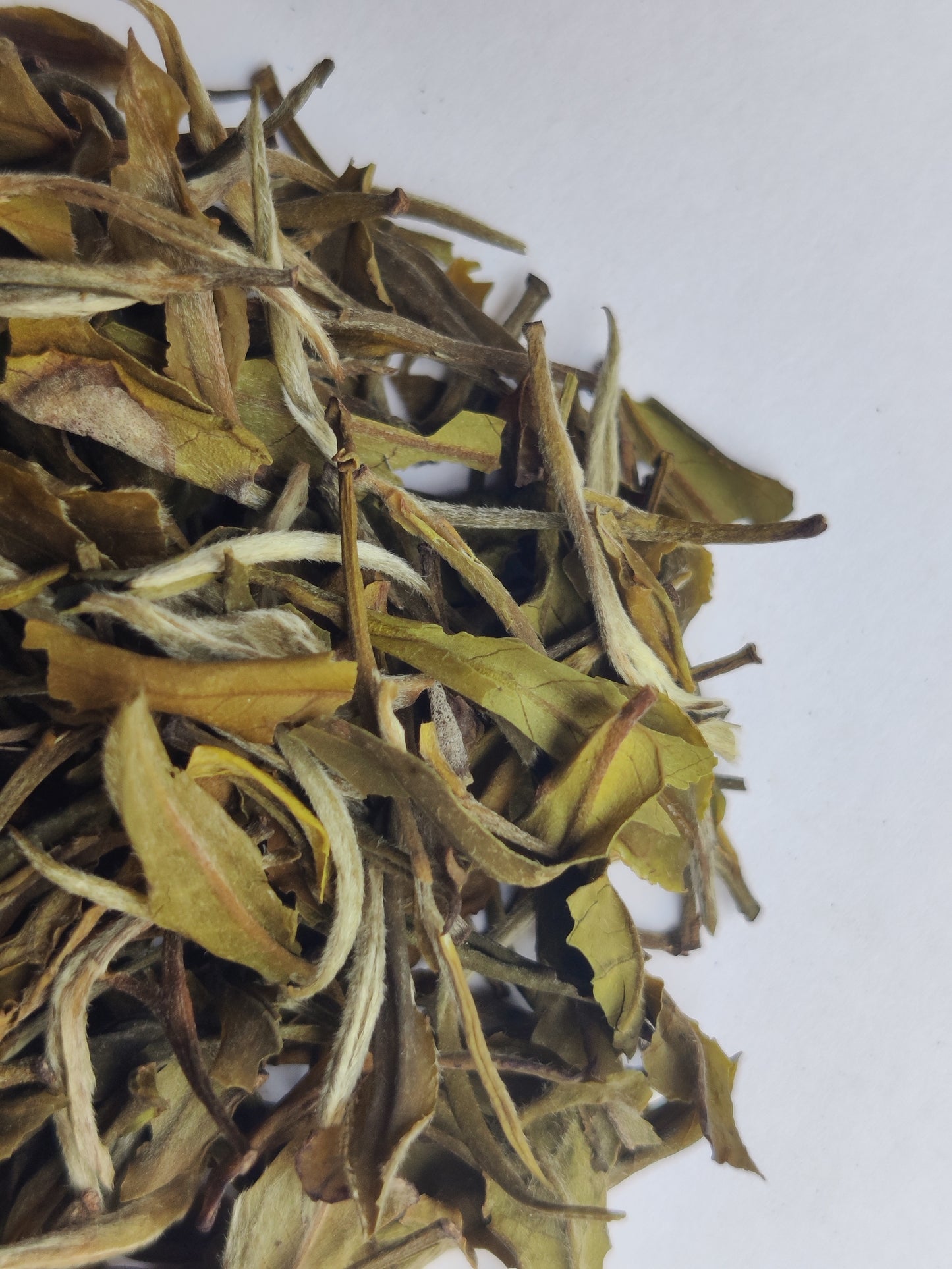 Mim Tea Estate - Darjeeling Peony White Tea