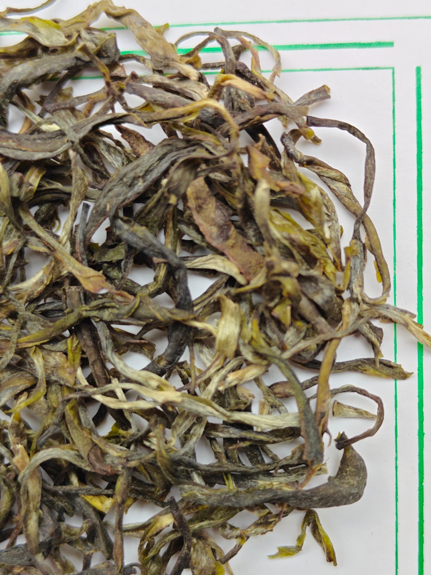 Meghalayan Mist - Lakyrsiew Green Tea - Monsoon Summer