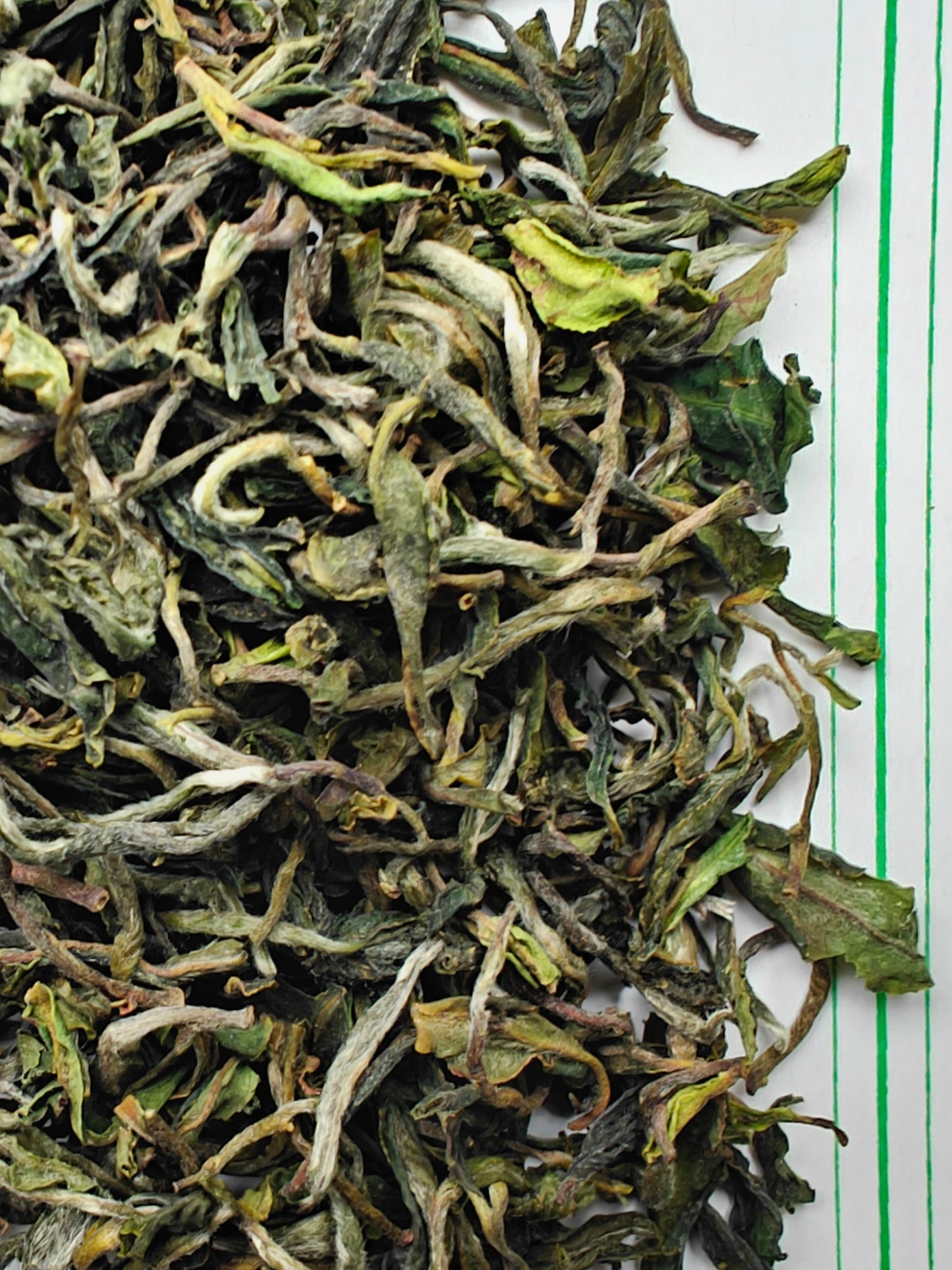 Wah Tea Estate - Kangra Spring Epic - Limited Edition