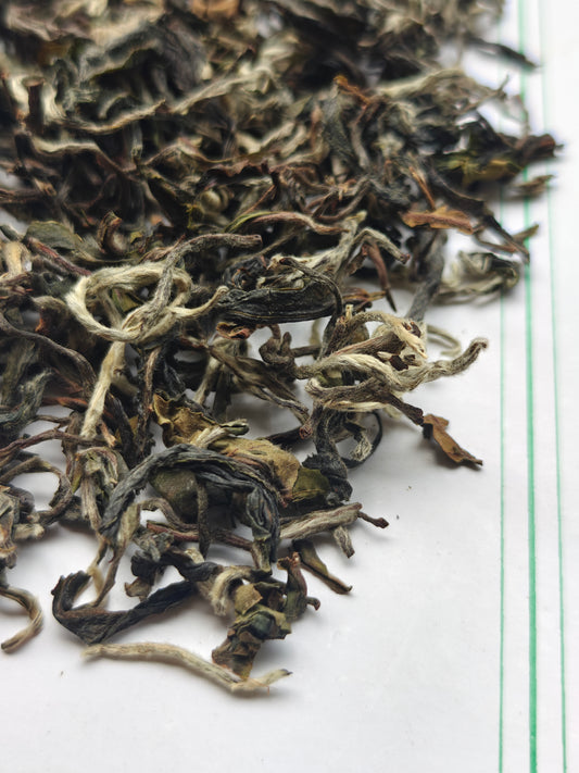 Doomni Oolong - Spring 2026