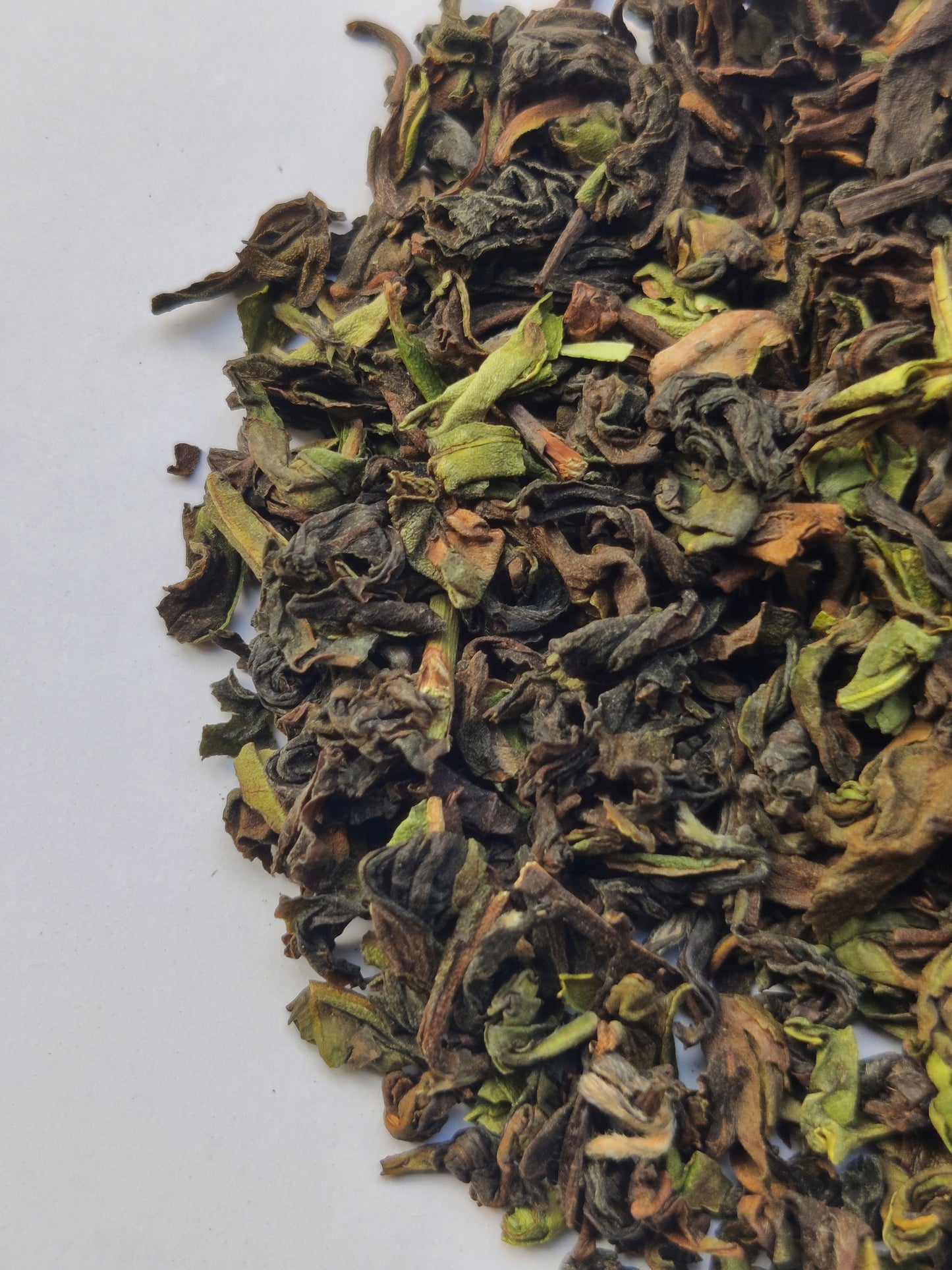 Giddapahar China Delight - Darjeeling Tea - Autumn 2023