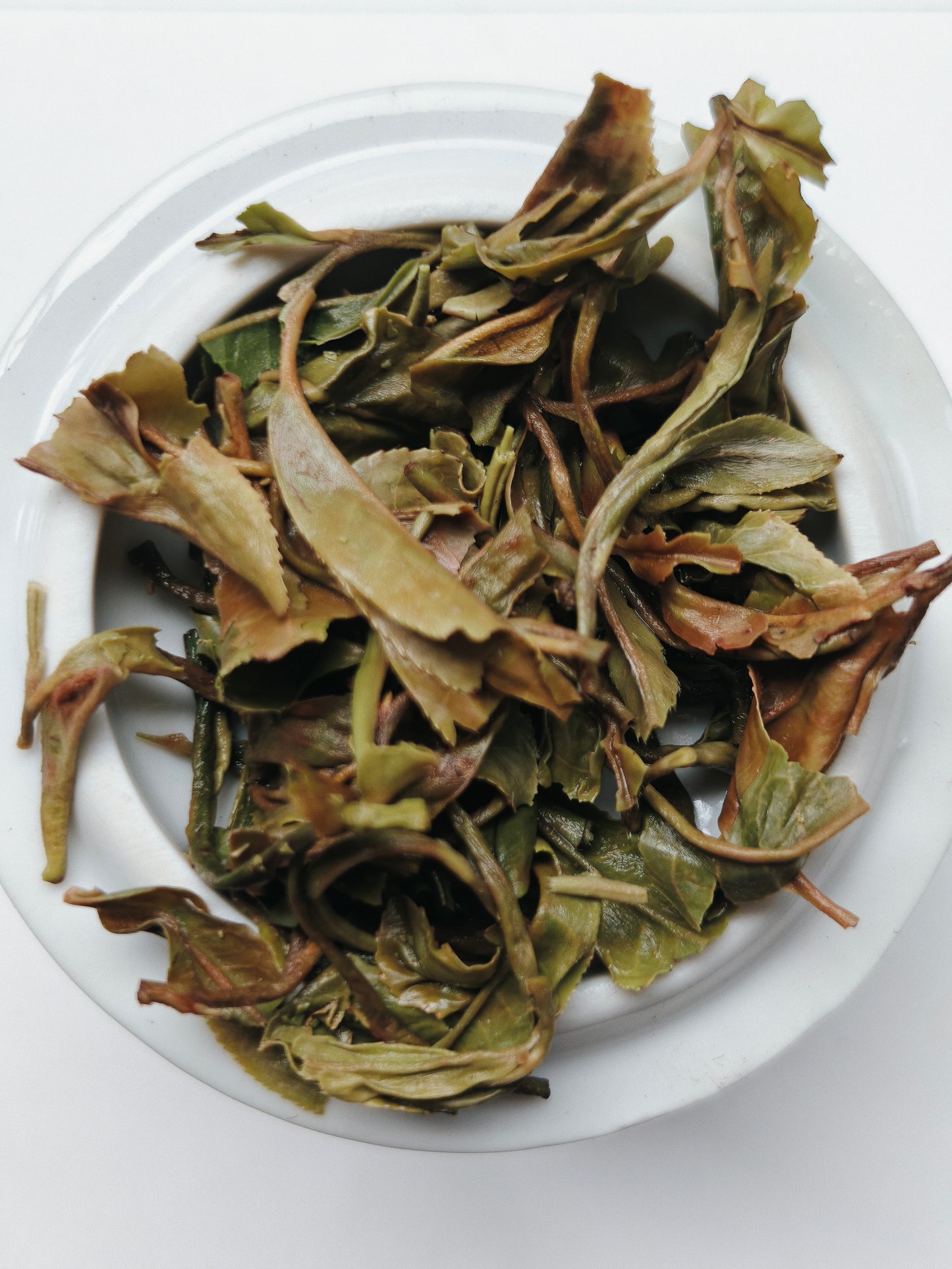Avongrove Darjeeling Spring Flowery Clonal - Organic First Flush 2026