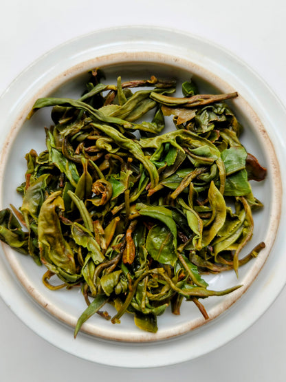 वाह टी एस्टेट - कांगरा स्प्रिंग एपिक - लिमिटेड एडिशन