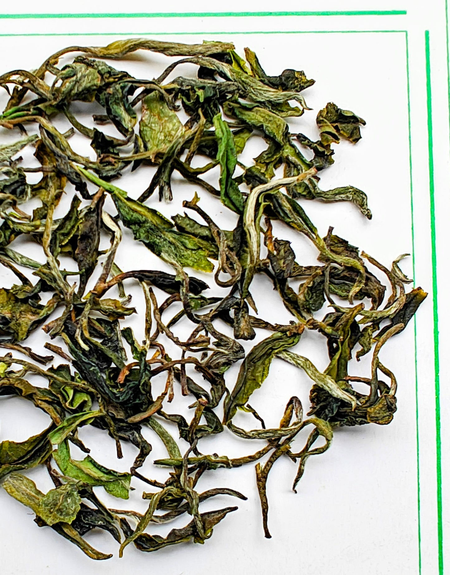 Wah Tea Estate - Kangra Spring Epic - Limited Edition