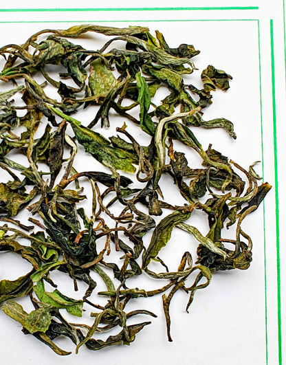 वाह टी एस्टेट - कांगरा स्प्रिंग एपिक - लिमिटेड एडिशन