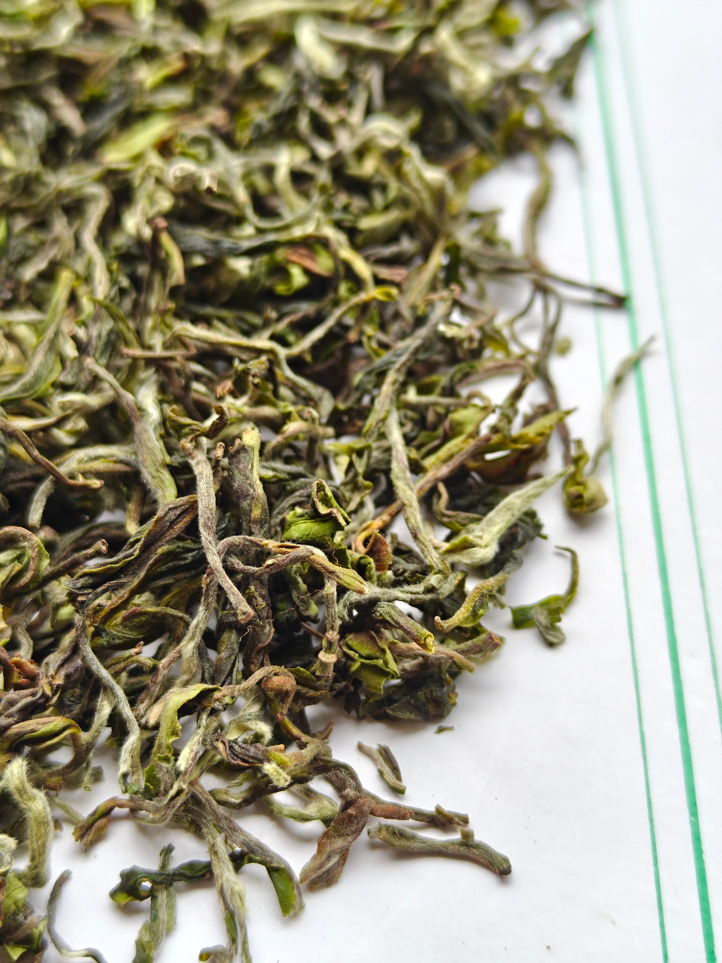Avongrove Darjeeling Spring Flowery Clonal - Organic First Flush 2026