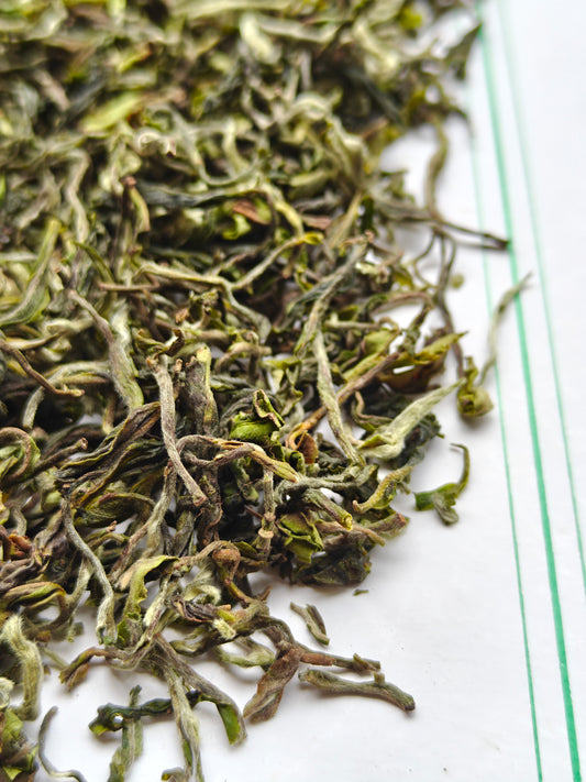 Avongrove Darjeeling Spring Flowery Clonal - Organic First Flush 2026
