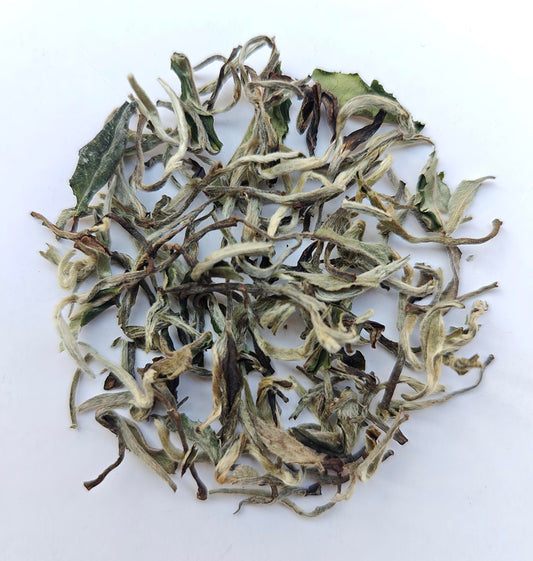 Darjeeling Peony White - Deorali Factory