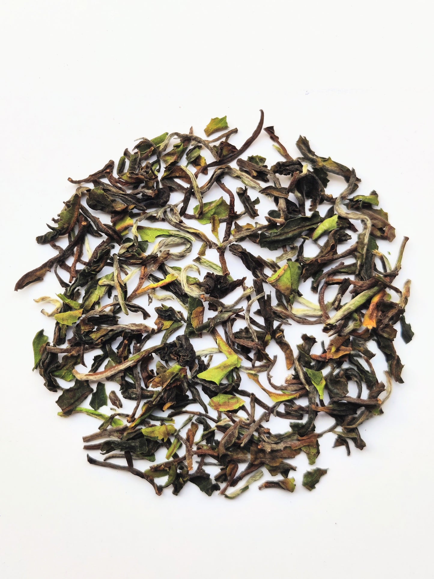 Singbulli Darjeeling First Flush Black Tea 2023