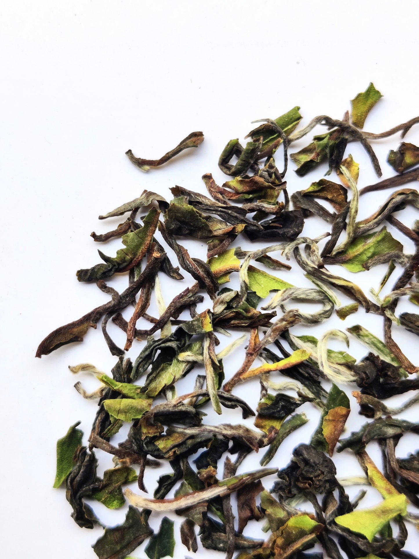 Singbulli Darjeeling First Flush Black Tea 2023